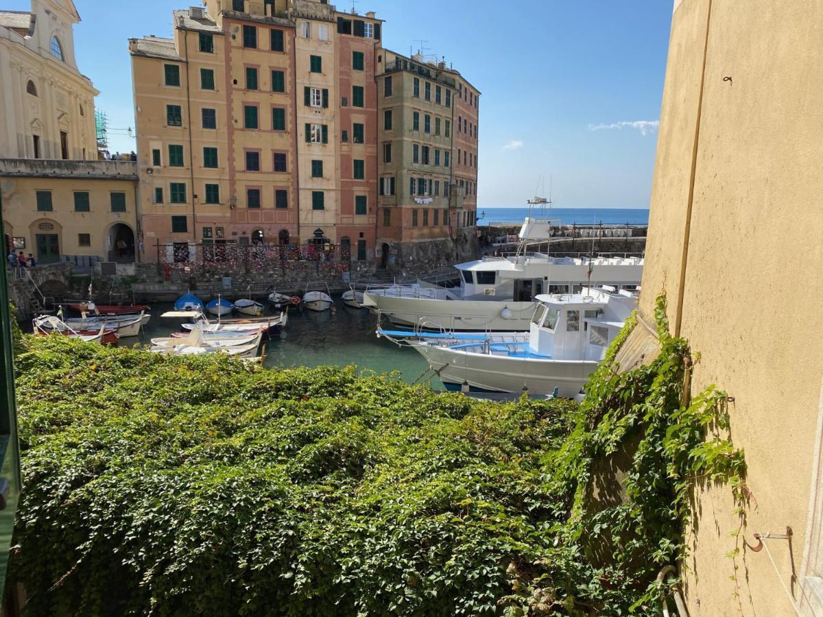 Camogli - "La Casa Di Judi" - Liguria Holidays Exterior foto